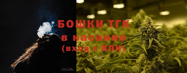индика Верея