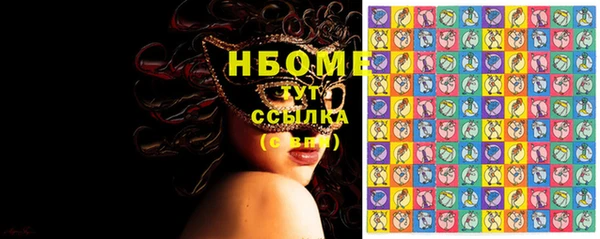индика Верея
