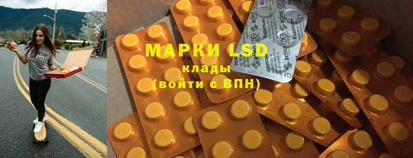 индика Верея