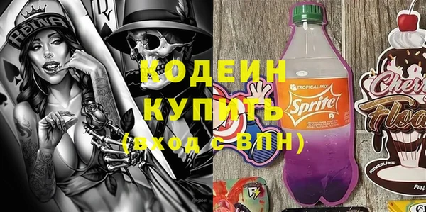 индика Верея