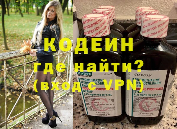 индика Верея