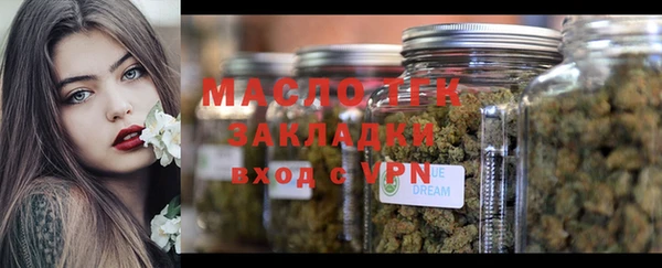 индика Верея
