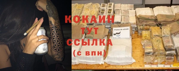 индика Верея